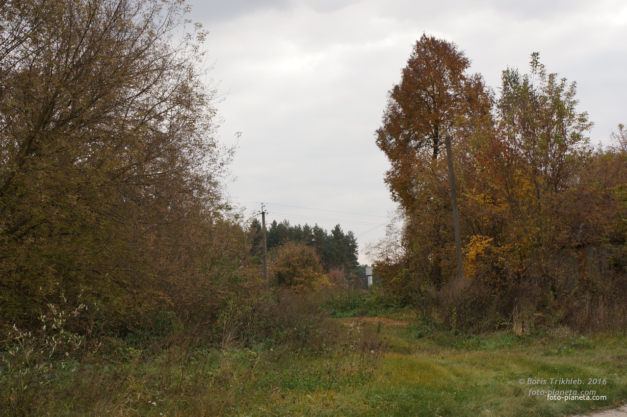 Михайловка