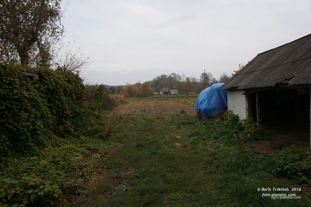 Улица Павловая, огороды