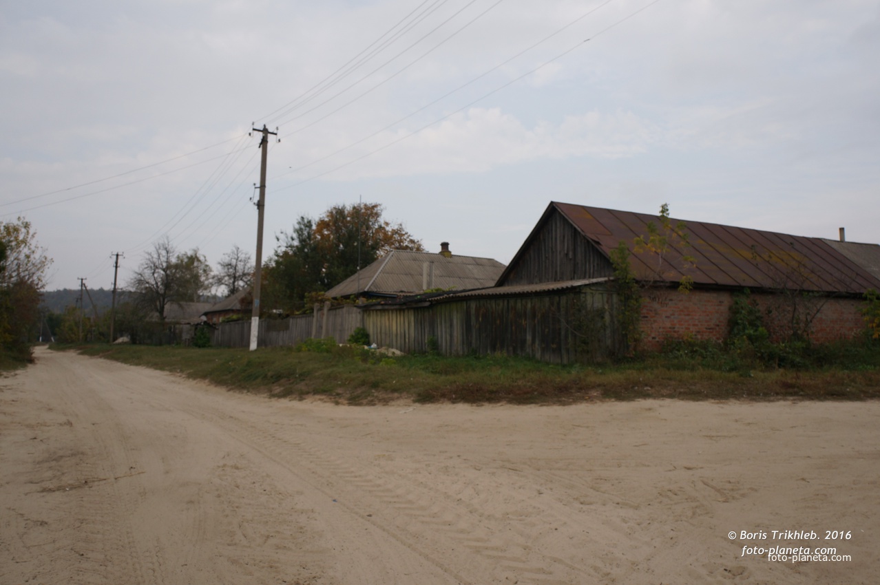 Павловая улица