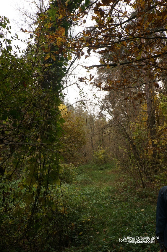 Михайловка, Круглык