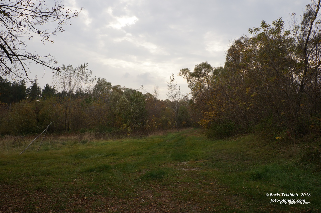 Михайловка, Круглык