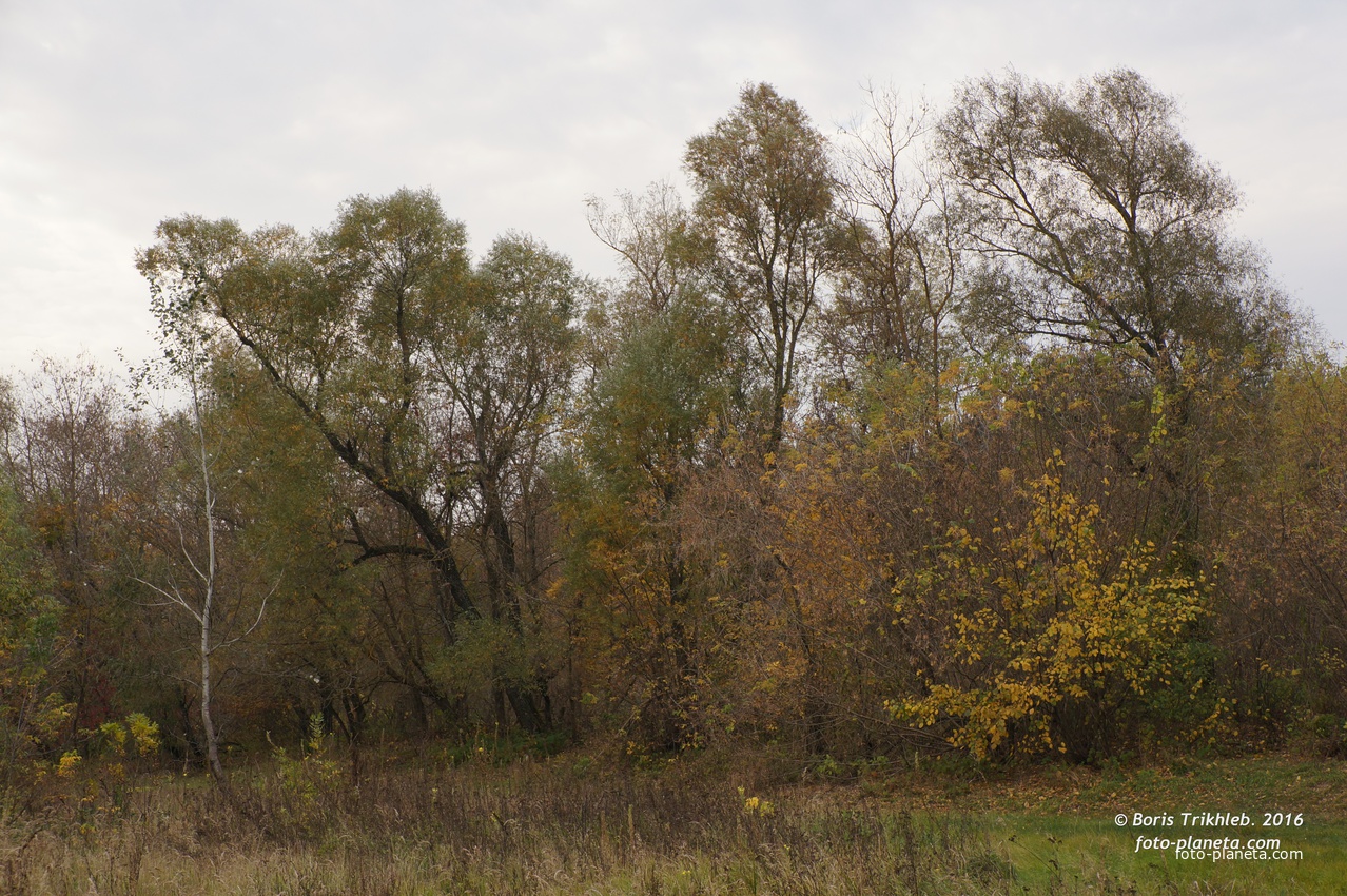 Михайловка, Круглык