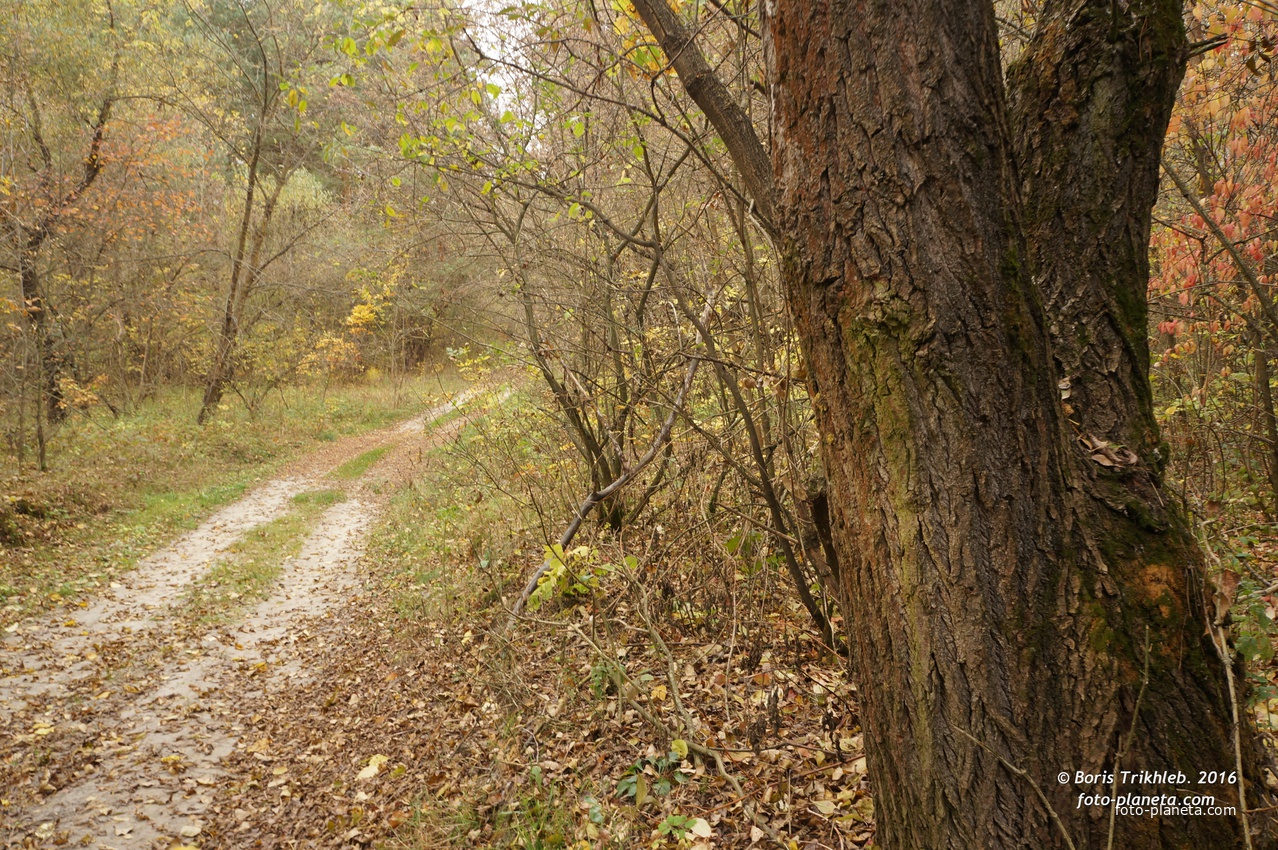 Михайловка