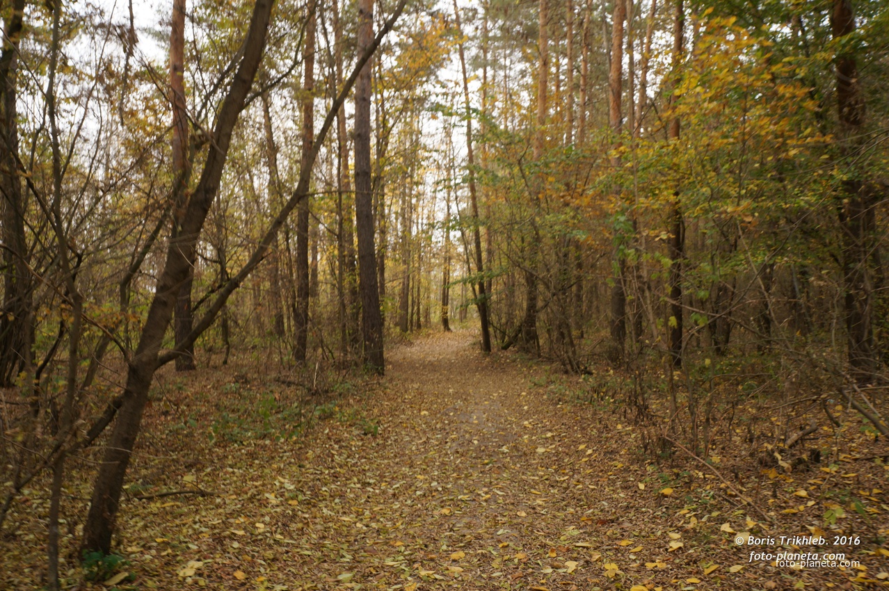 Михайловка