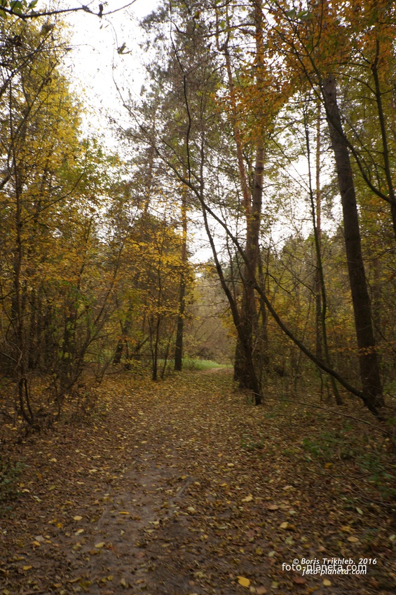 Михайловка