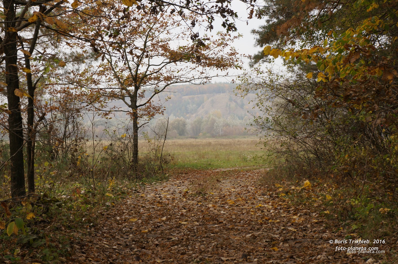 Михайловка