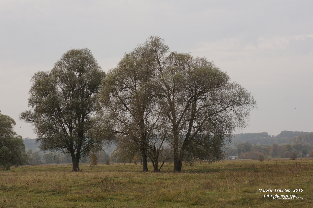 Михайловка