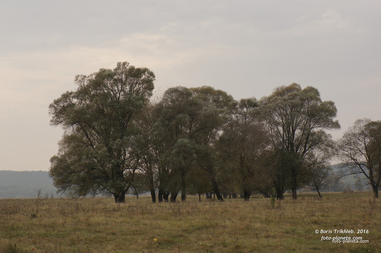 Михайловка