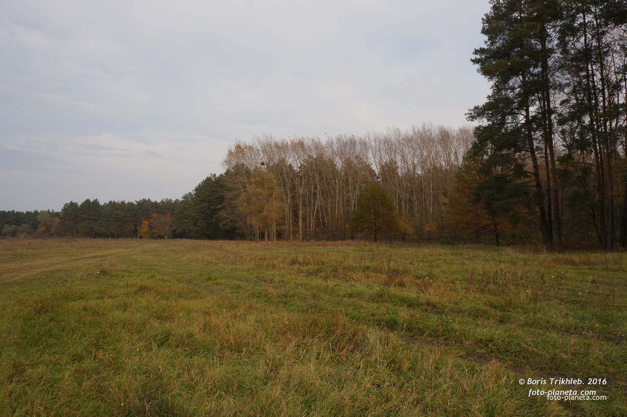 Михайловка