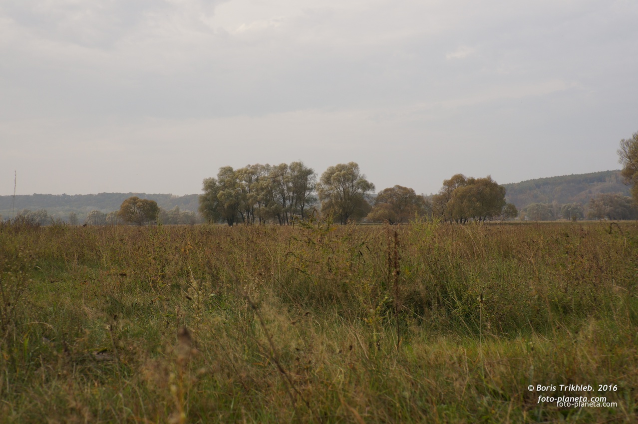 Михайловка