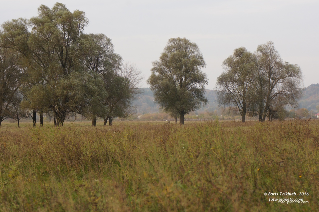 Михайловка