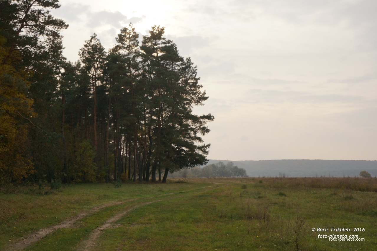 Михайловка