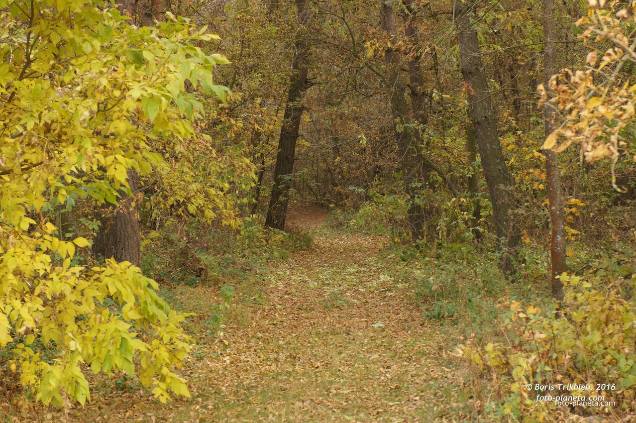 Михайловка