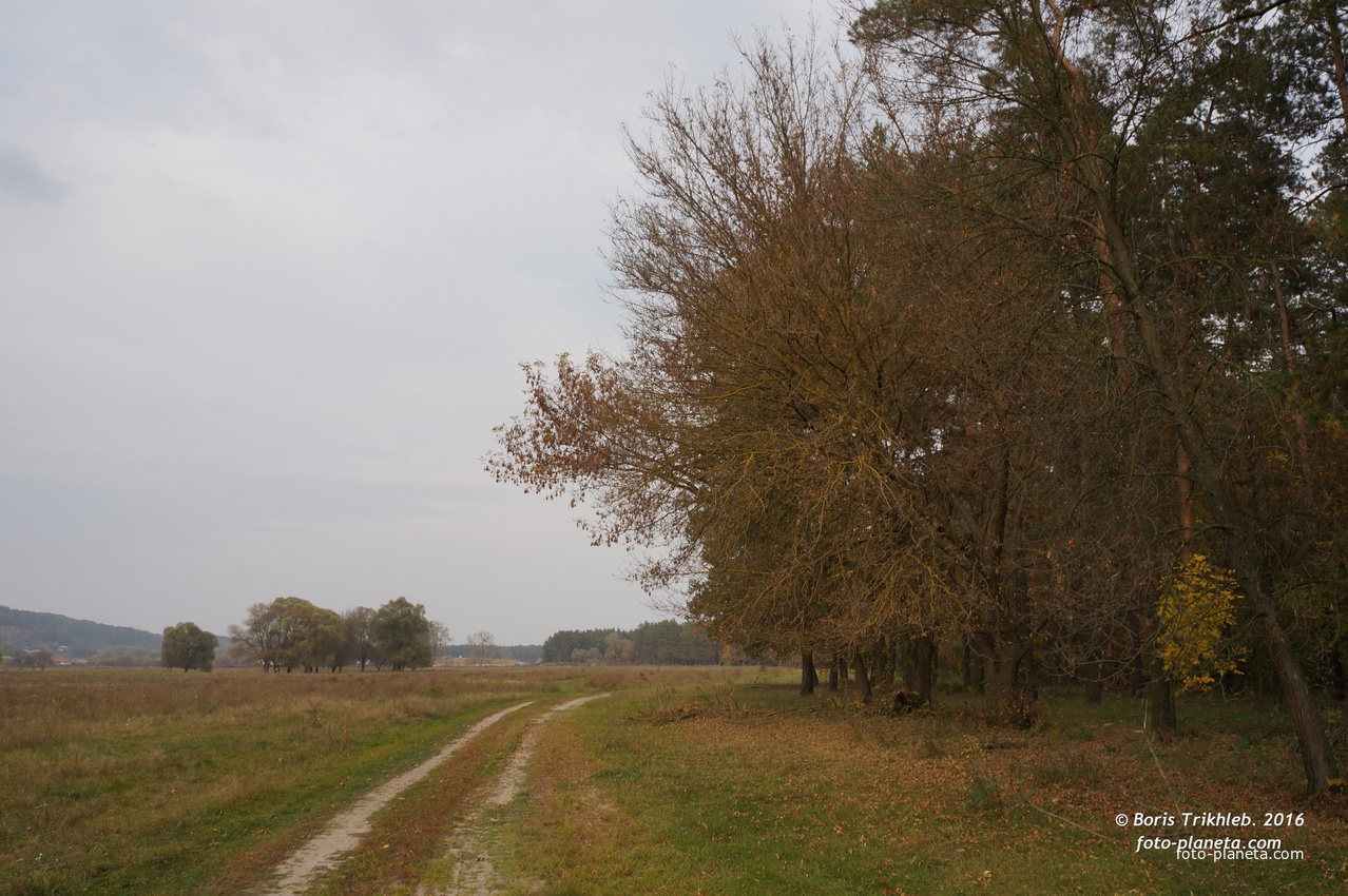 Михайловка