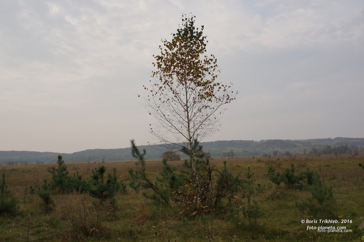 Михайловка