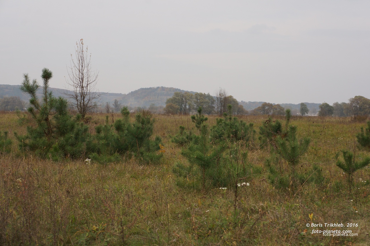 Михайловка