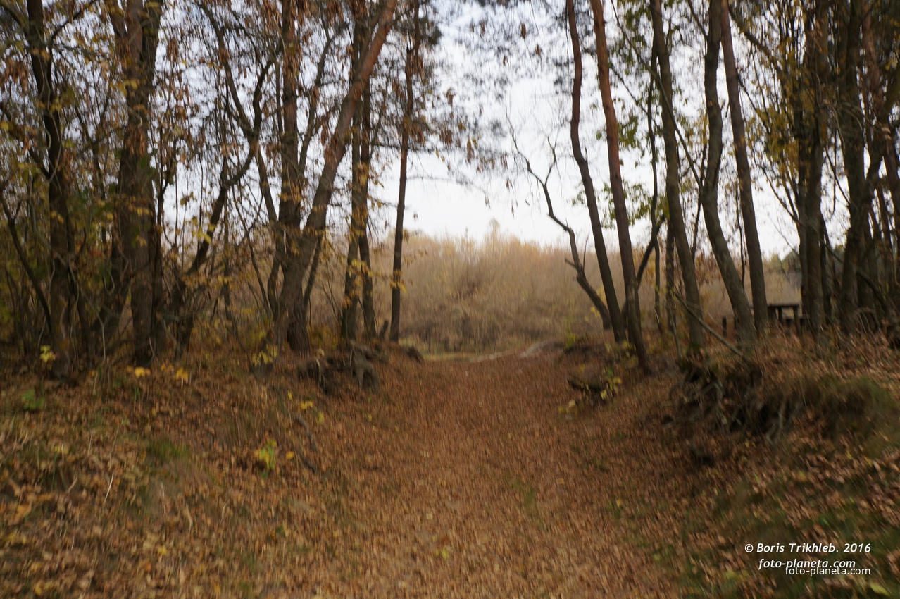 Михайловка