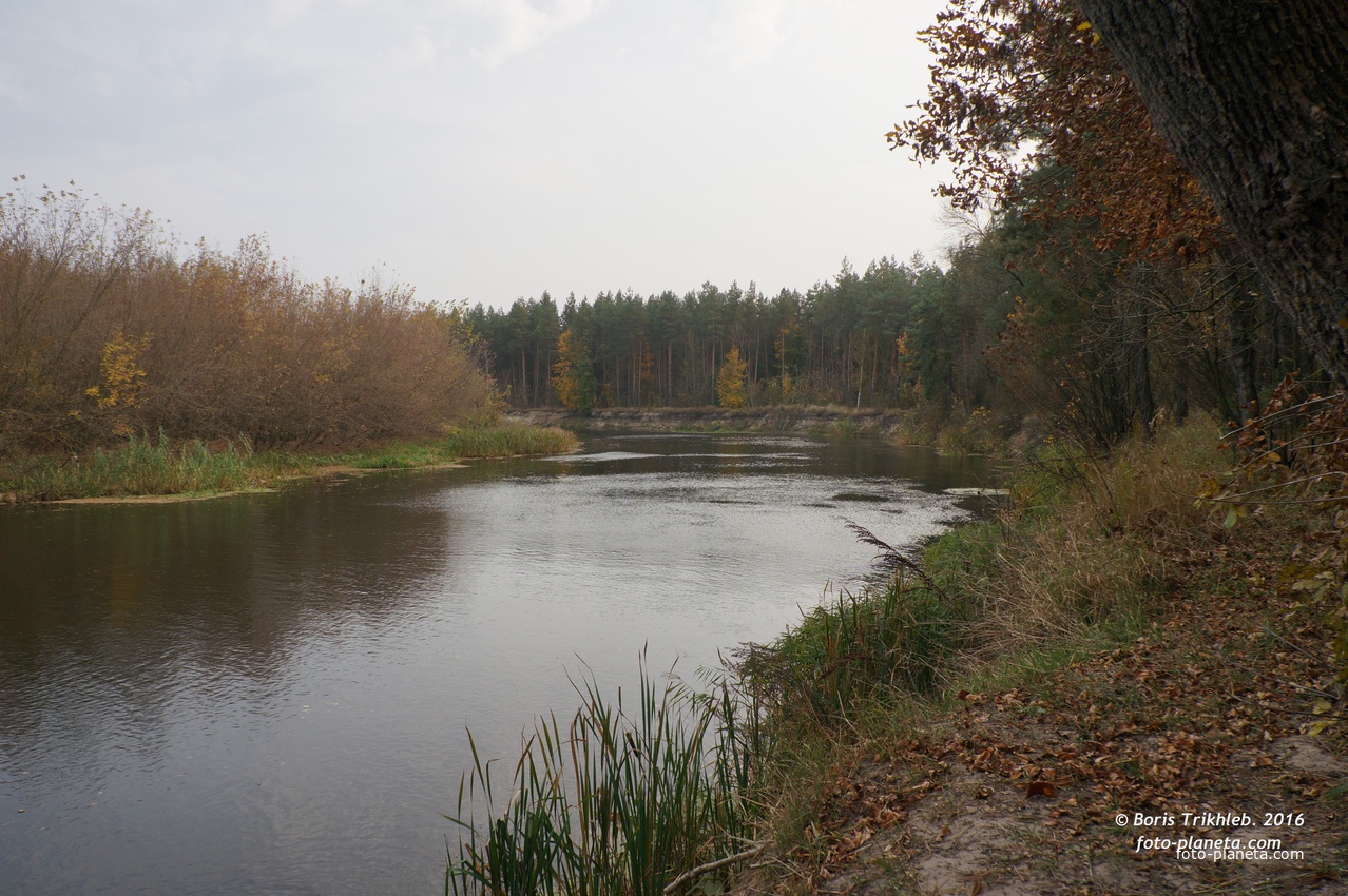 Река Псёл, Пушкаривский поворот