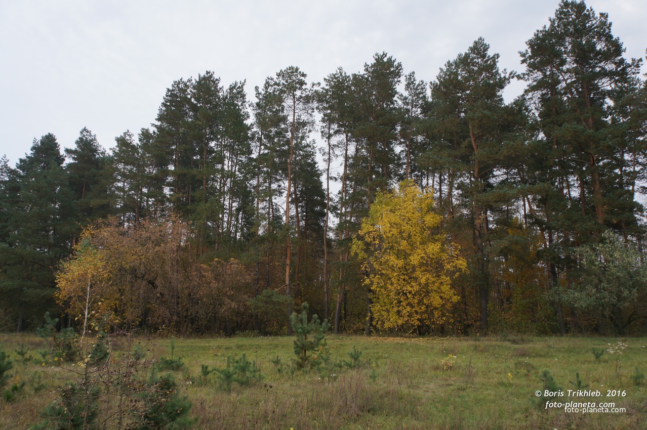 Михайловка