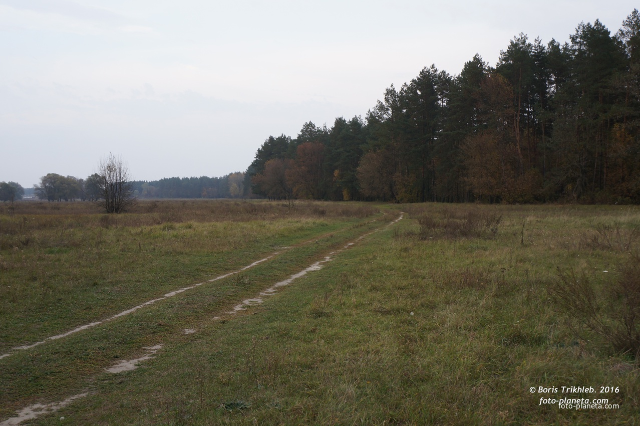 Михайловка