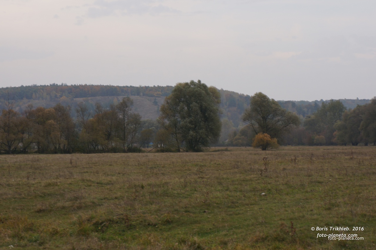 Михайловка, луг