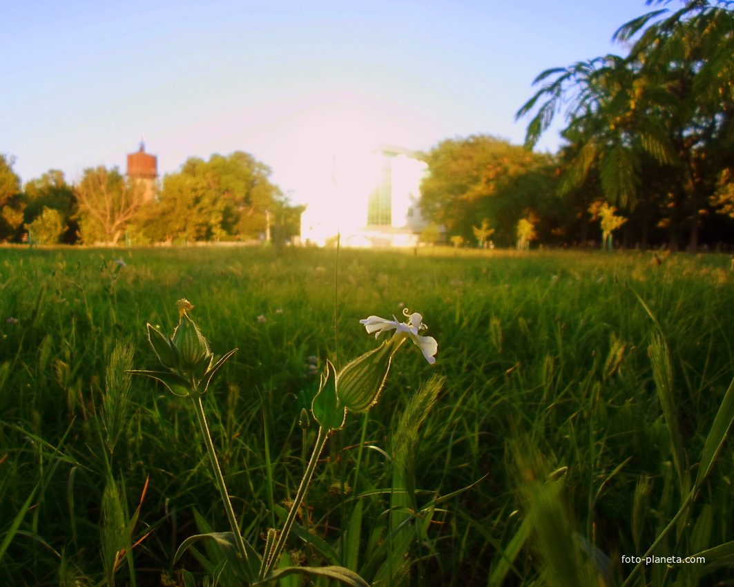 город Измаил, Парк Памґяти
