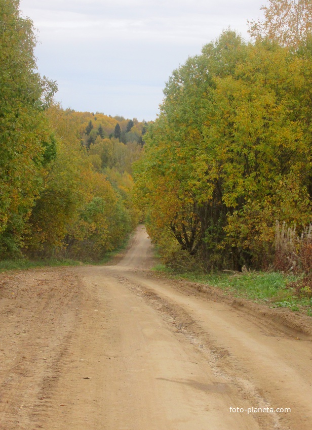Дорога в сторону Шурскола.