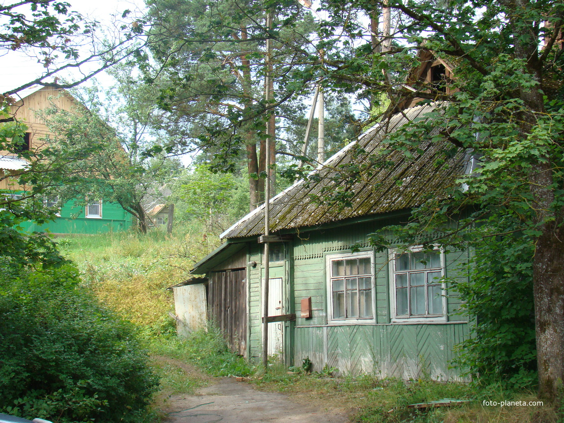 Пушкинские горы. Пушкинская ул.