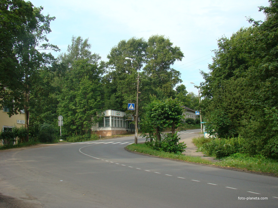 Пушкинские горы. Пушкинская ул.