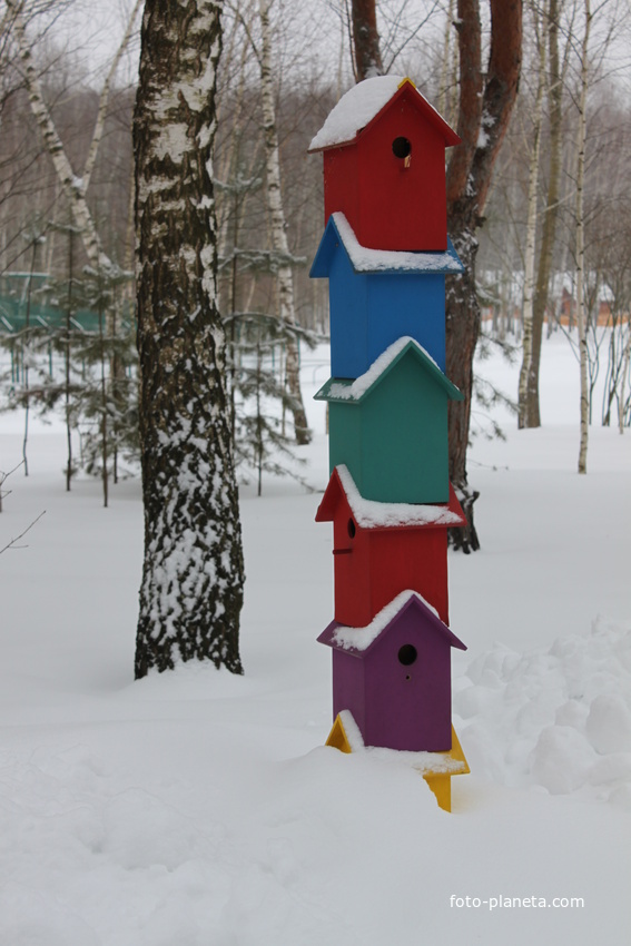 Белгород. Зоопарк.