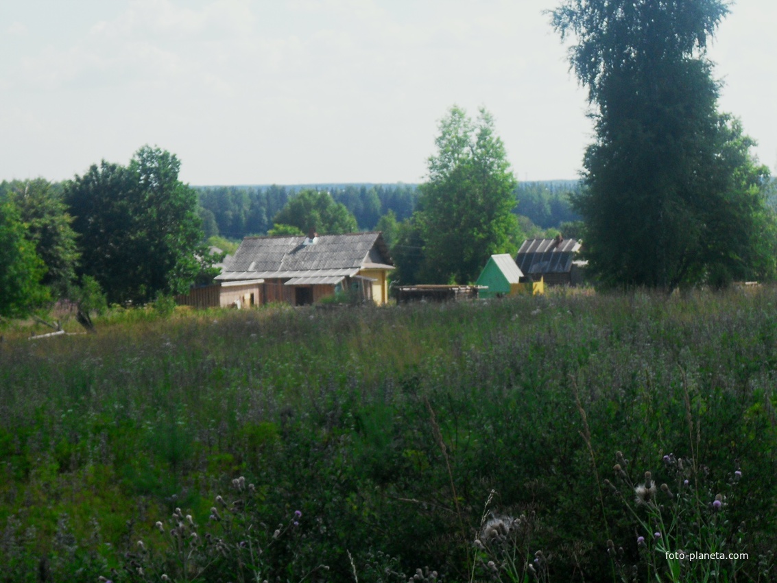 д.Кокоровщина 2010г.