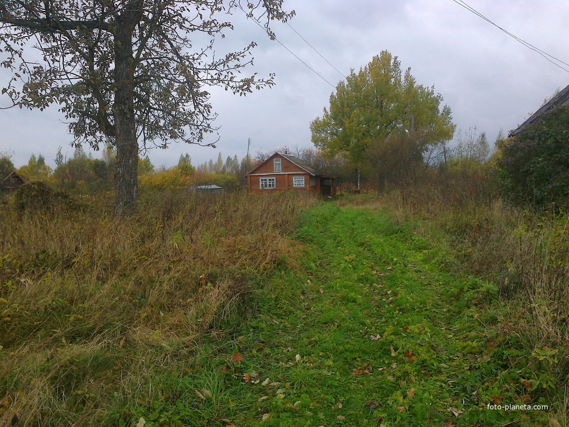 Долматово, осень 2014 года