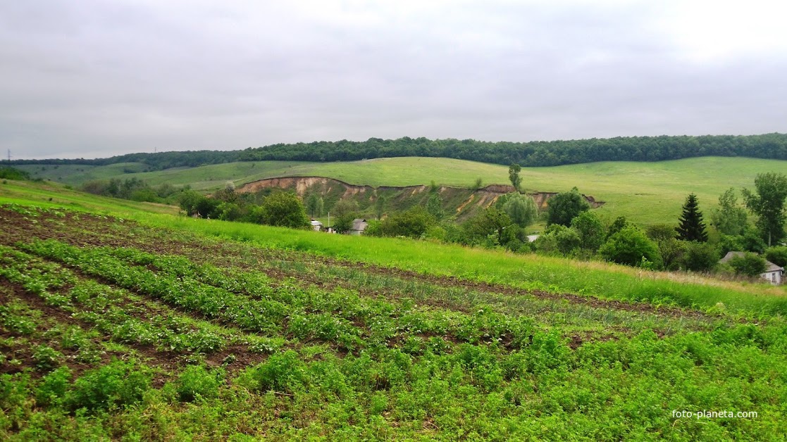 Околиця Кам&#039;янки(П&#039;яний яр),вид з дороги на  Грушківку.