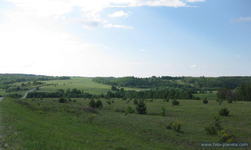 Пензенская область лопатинский