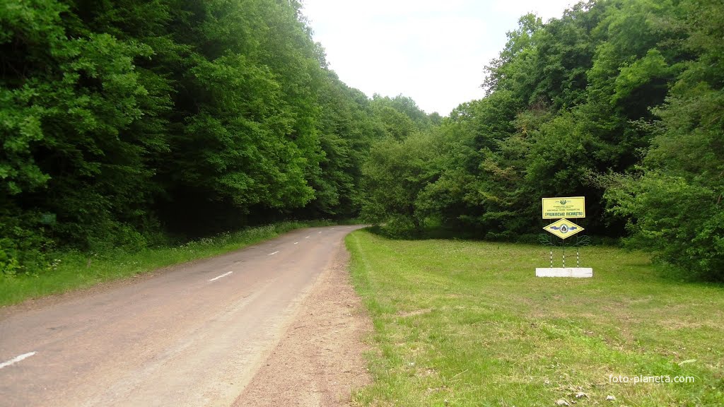 Державний лісовий фонд України,державне підприємство Кам&#039;янське лісове господарство-Грушківське лісництво.