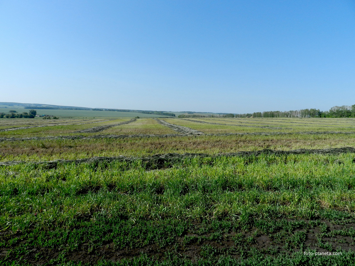 Пора сенокосная