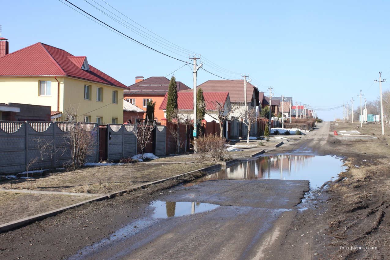 Дубовое. Ул. Рождественская.
