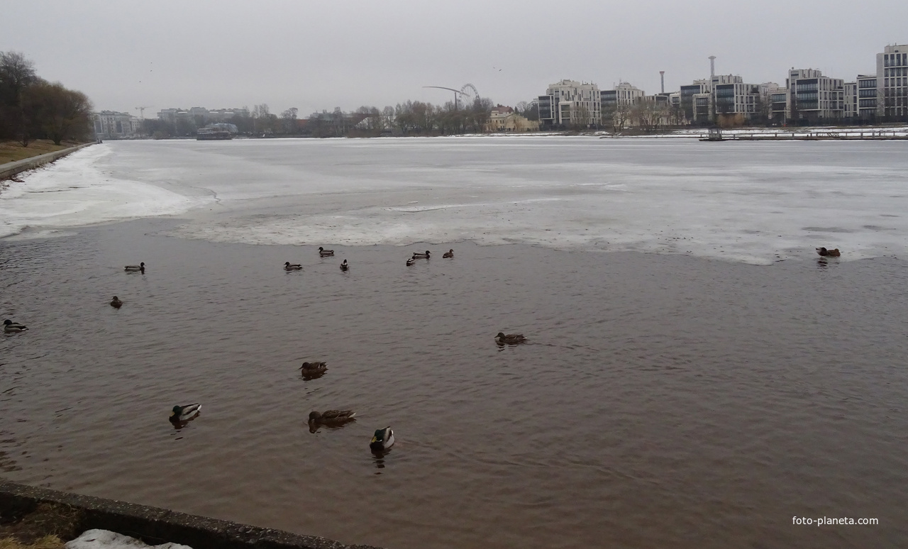 Река Средняя Невка