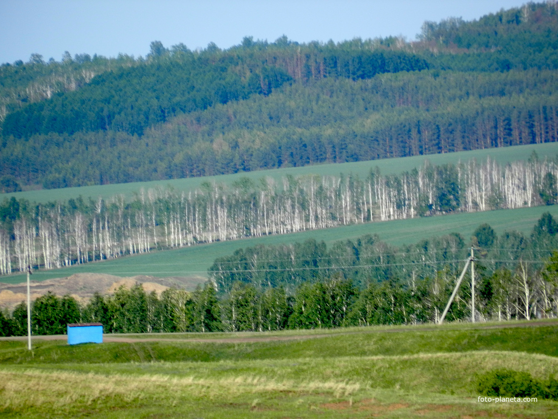 окраина села Новосеменкино