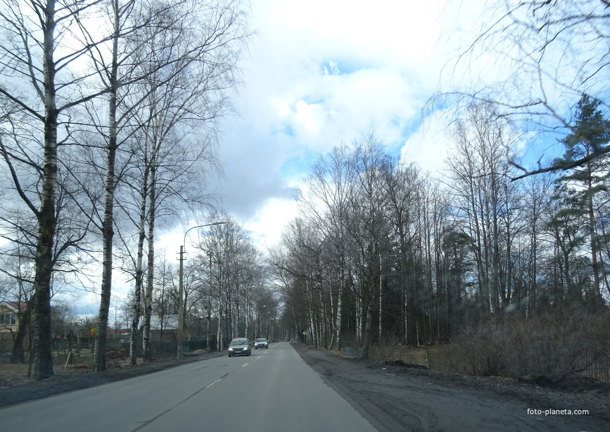 Улица Садовая