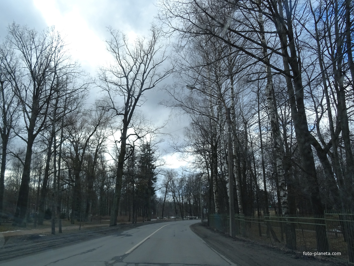 Улица Садовая