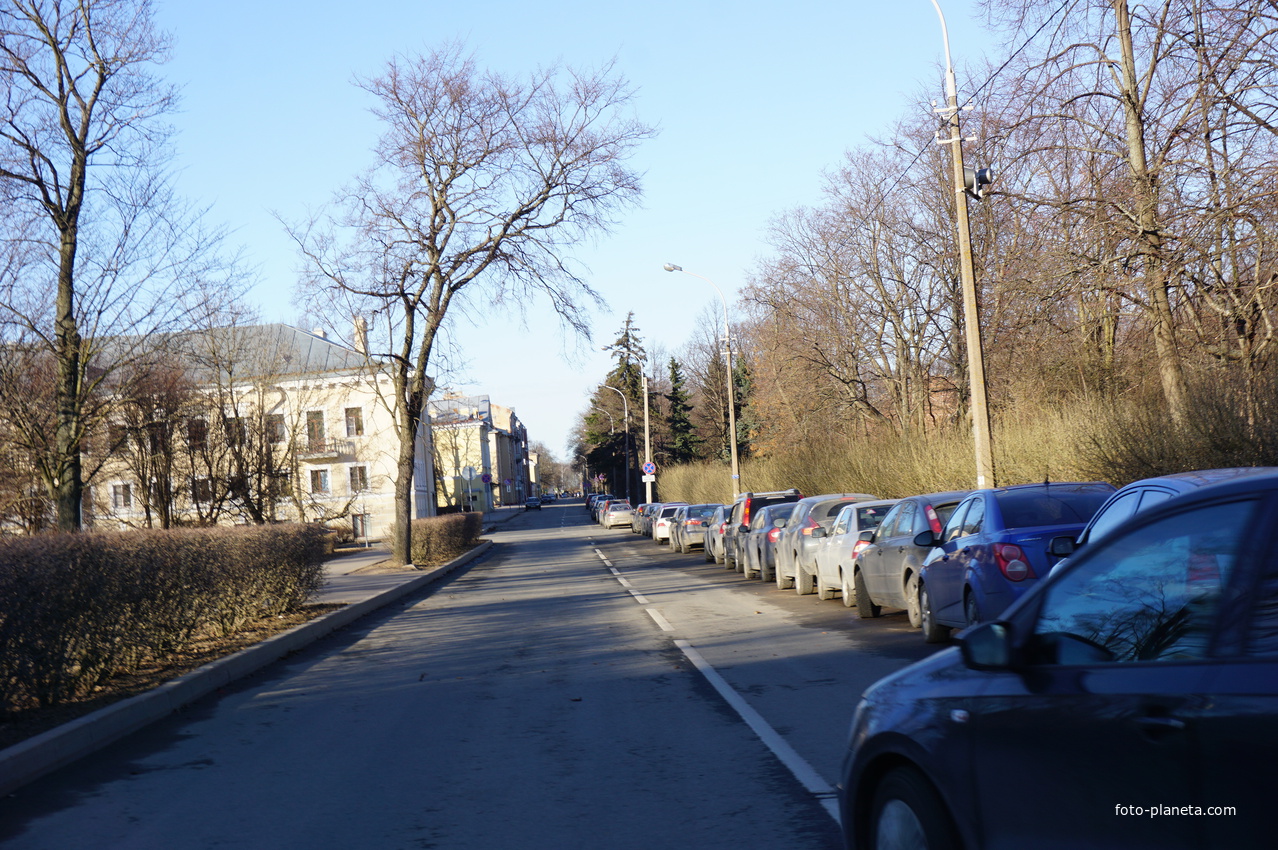 На улице Карла Маркса.