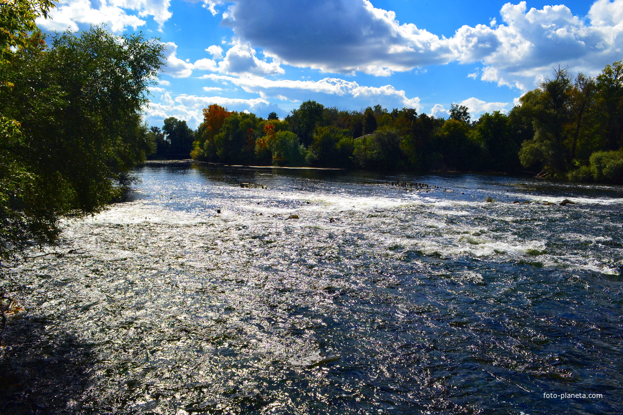 Село званное. Река Сейм теткино. Сейм река Глушковский район. Сейм Курск. Тёткино Курская область.