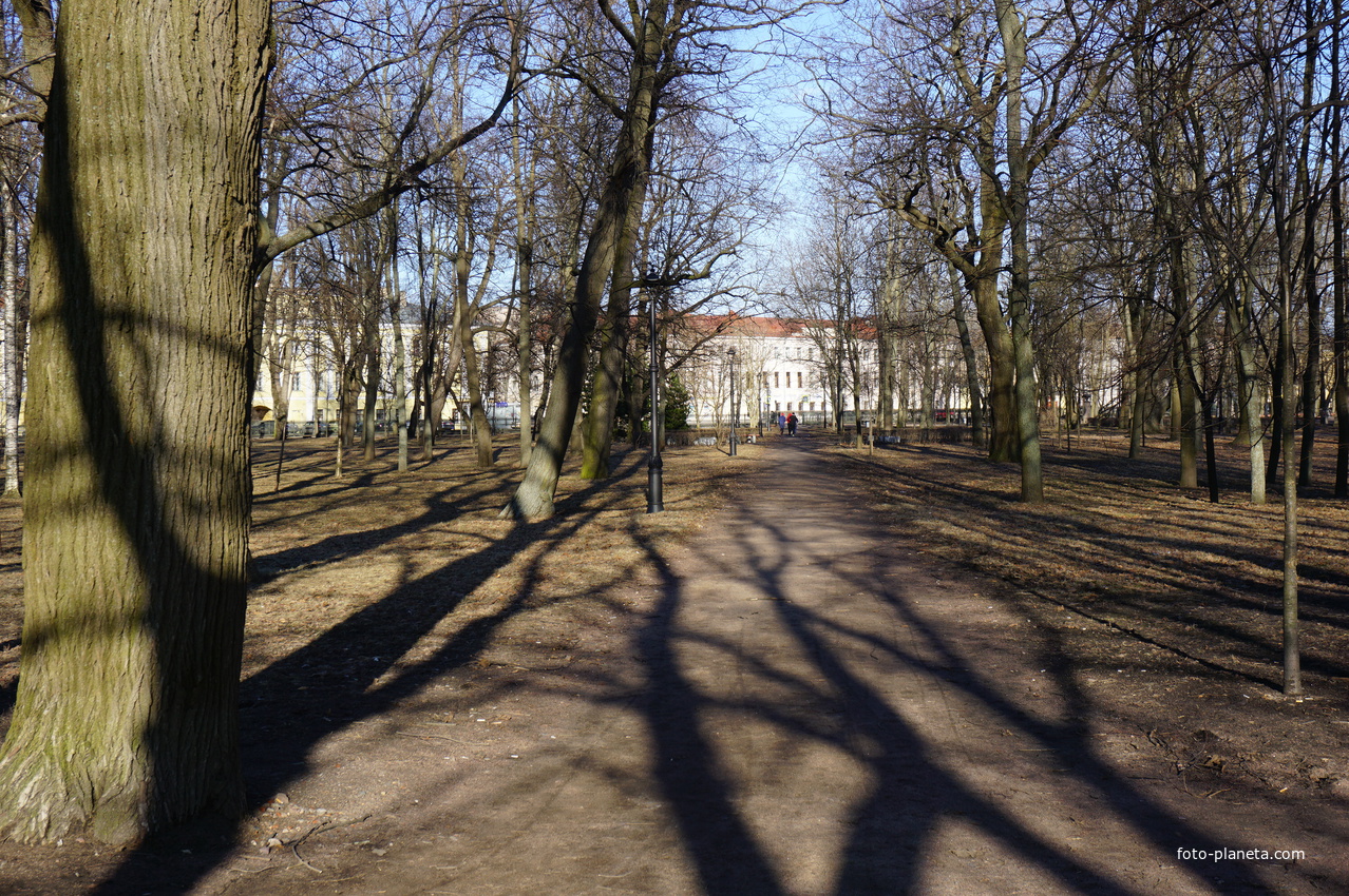 Аллея.Петровский парк.