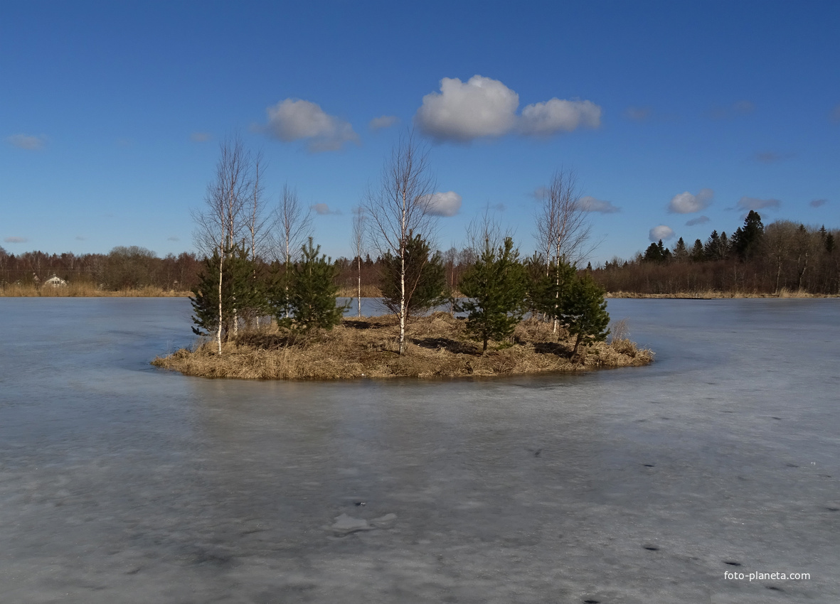 Большое озеро в Гостилицах. Остров Двигающийся