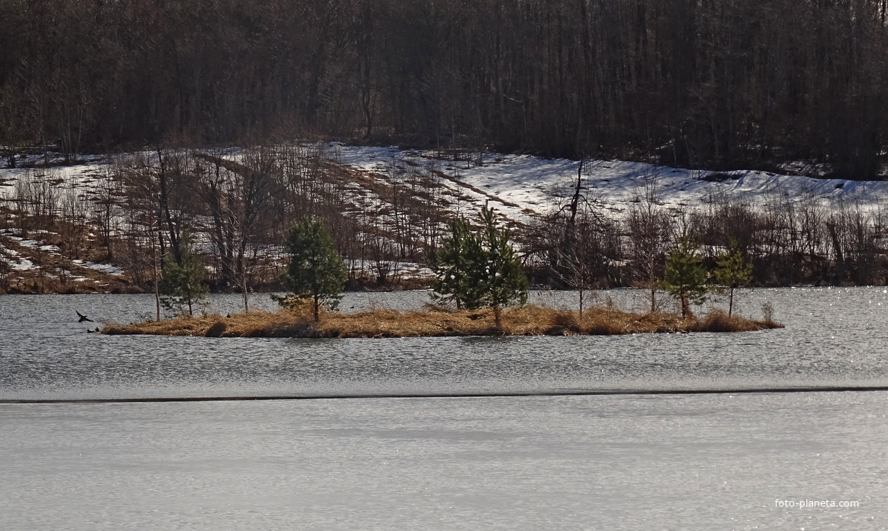 Большое озеро в Гостилицах. Остров Овсяночный