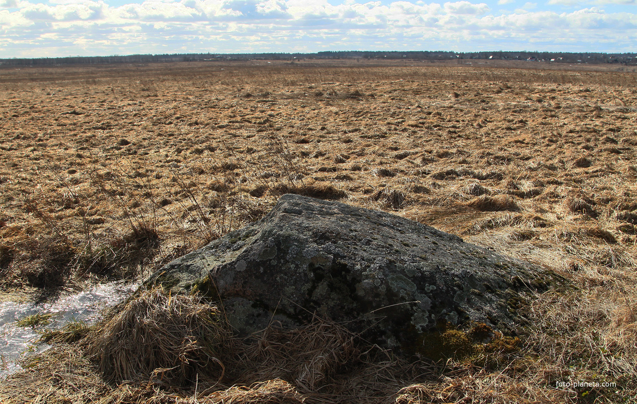 Окраина деревни