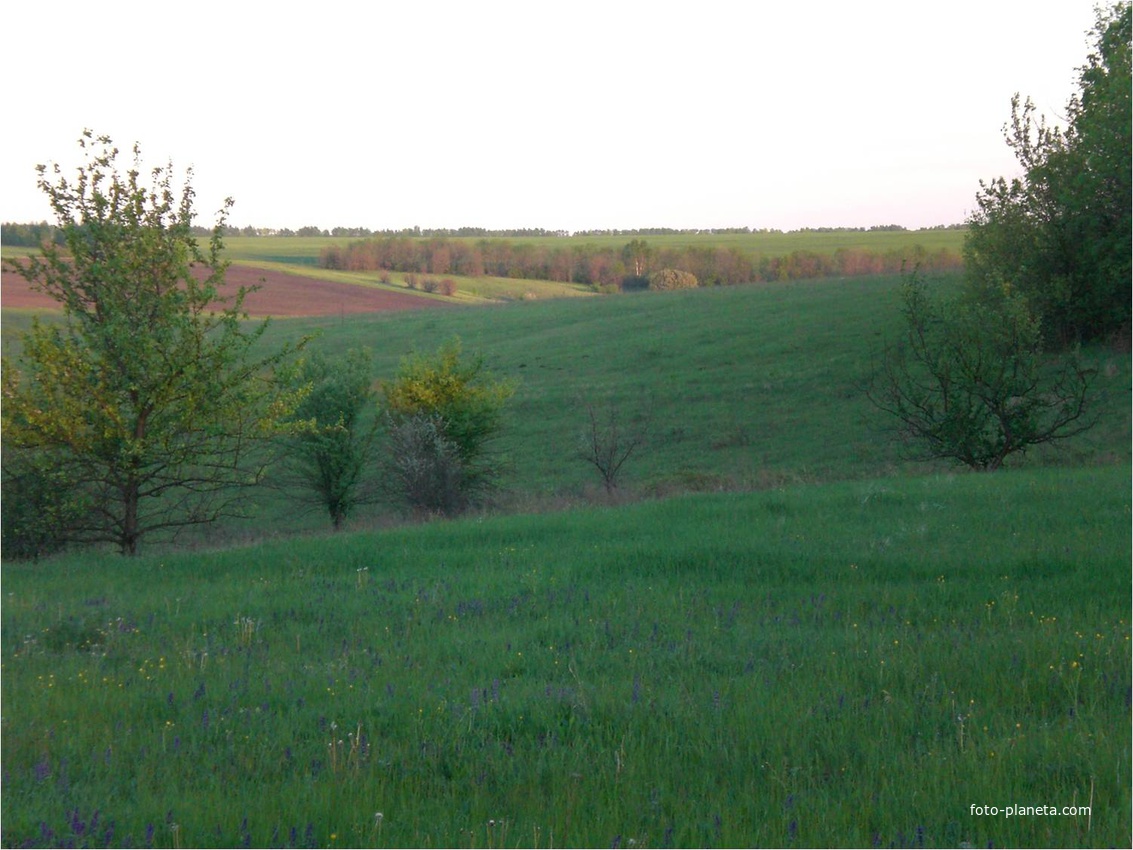 Долгое погода село вейделевского. Клименки Вейделевский район. Клименки Вейделевки й район. Урочище гнилое Вейделевский район. Село Клименки Вейделевского района.