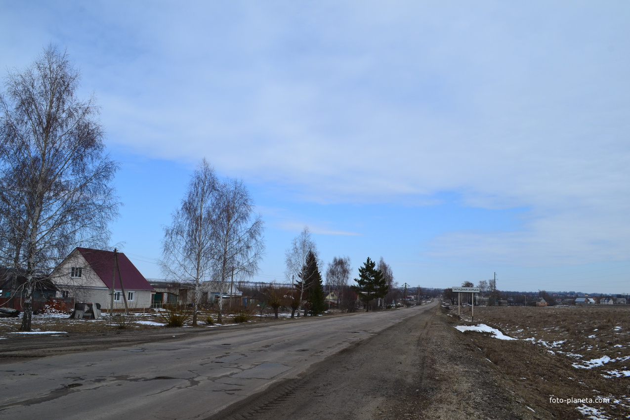 Дома в посёлке Западная Зорька.