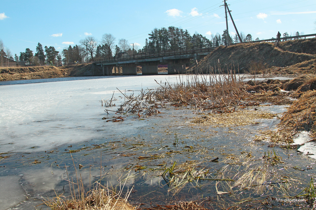 Река Оредеж